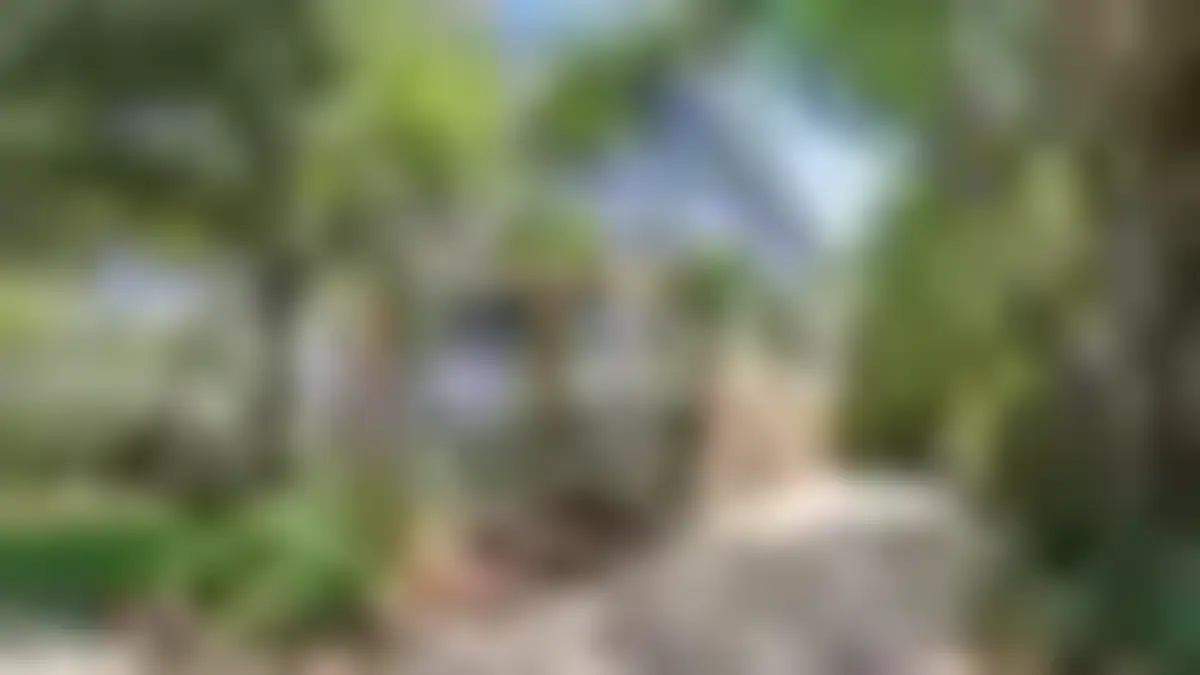 This week's deal, blurred on purpose